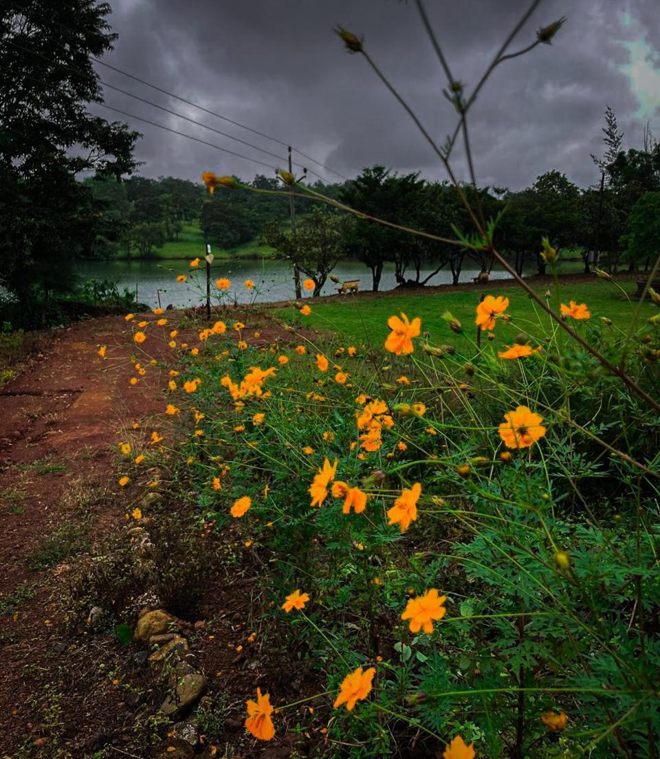 Chalobahills Farmstay Resort Ajra Exteriér fotografie